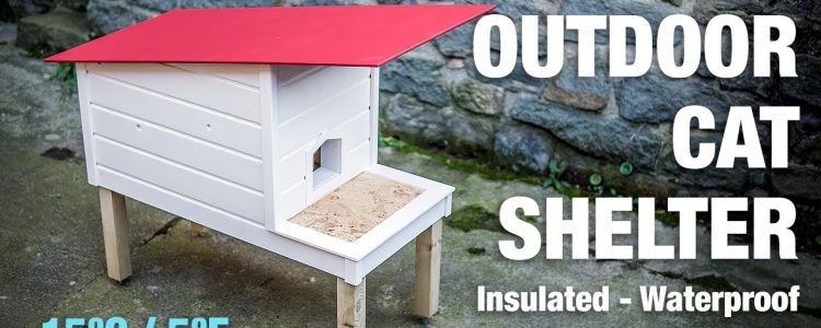 DIY Outdoor Cat Shelter